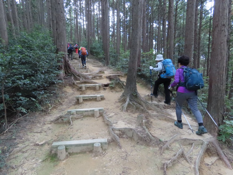 青梅丘陵