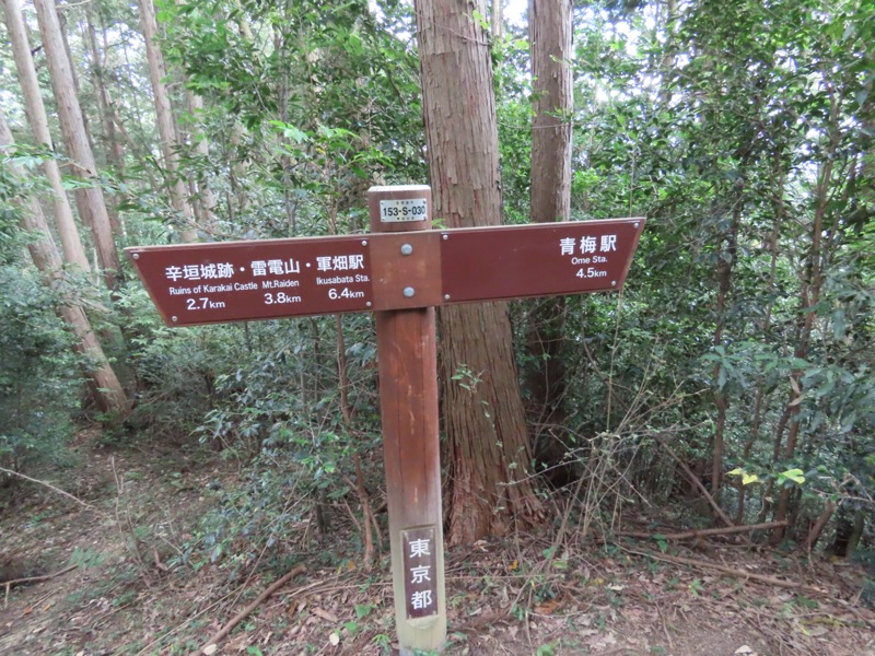 青梅丘陵