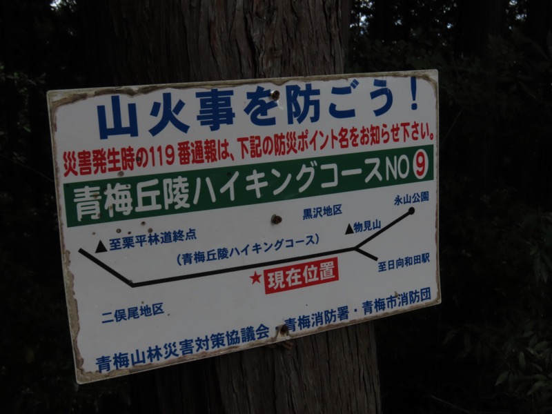 青梅丘陵