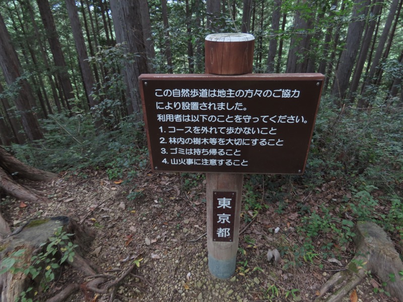 青梅丘陵