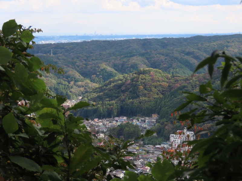 青梅丘陵