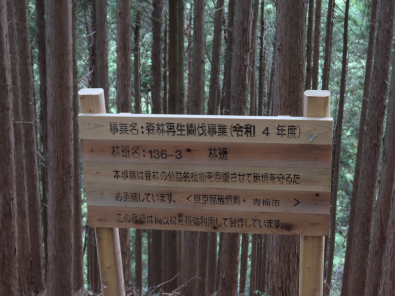青梅丘陵