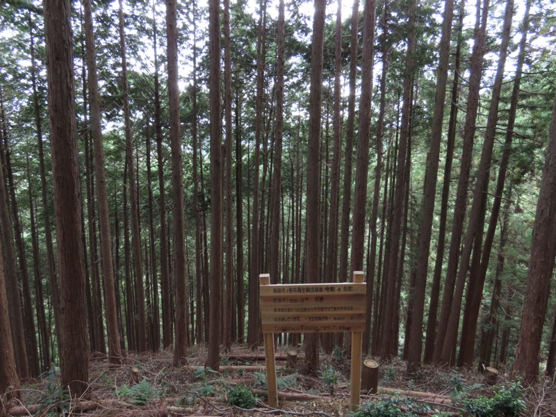 青梅丘陵
