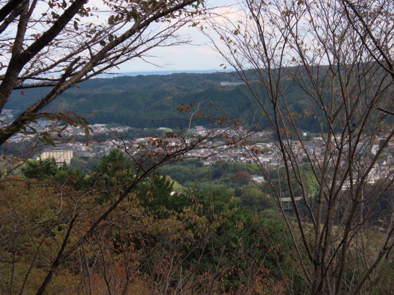青梅丘陵