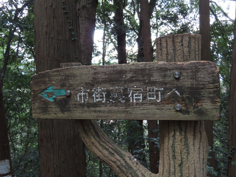 青梅丘陵
