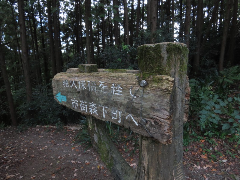 青梅丘陵