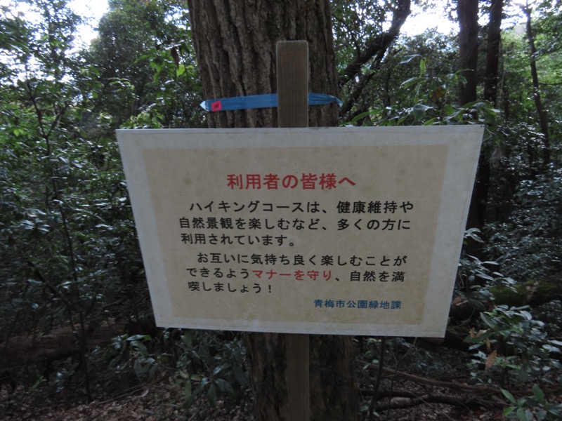 青梅丘陵