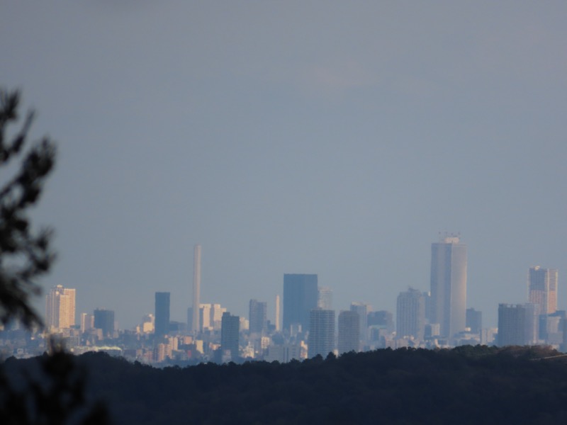 青梅丘陵