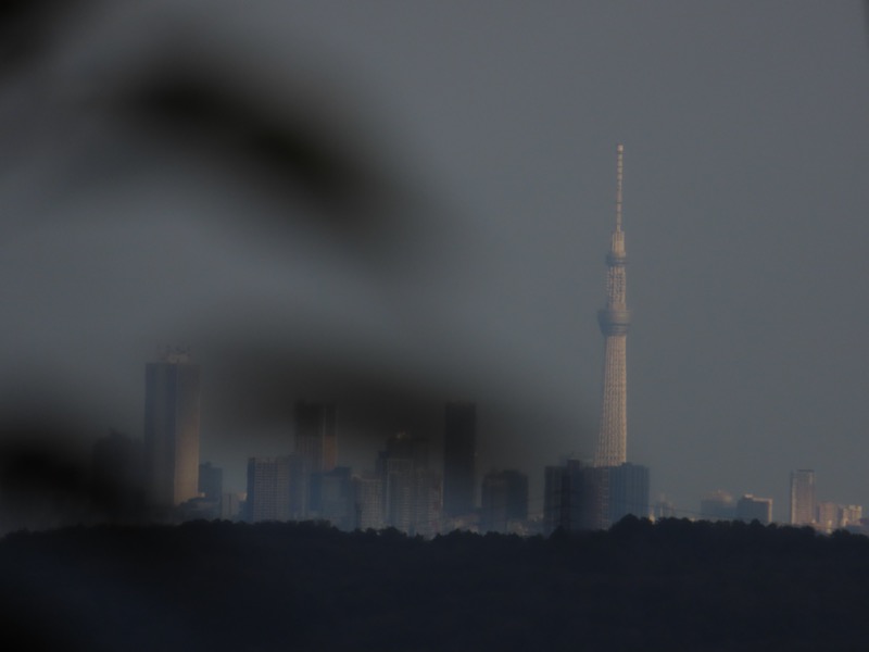 青梅丘陵