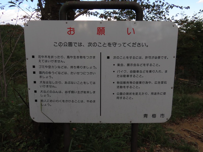 青梅丘陵