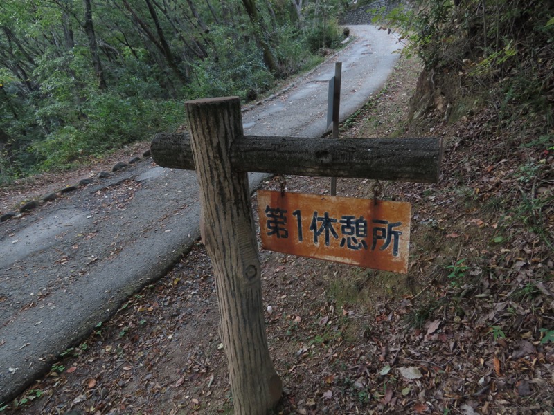 青梅丘陵