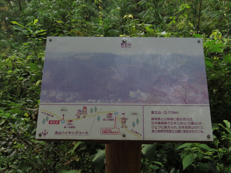 青梅丘陵
