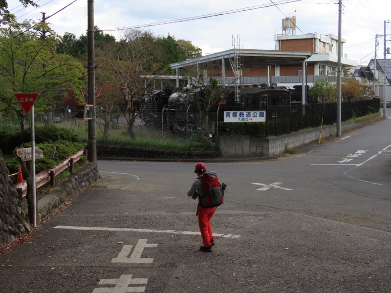 青梅丘陵