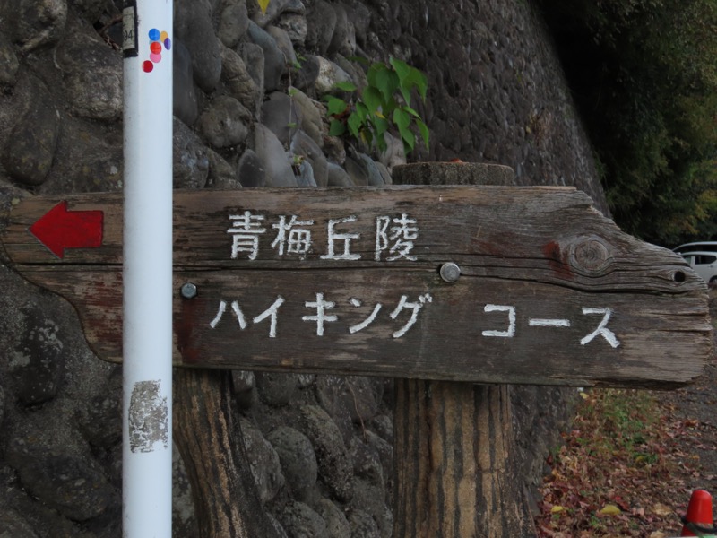 青梅丘陵