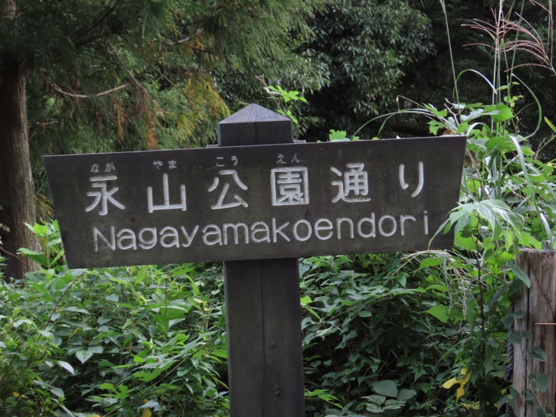 青梅丘陵