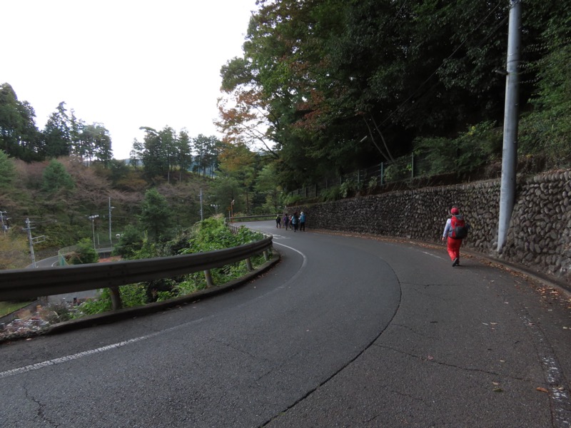 青梅丘陵