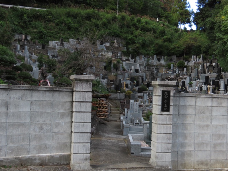 青梅丘陵