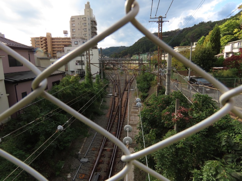 青梅丘陵