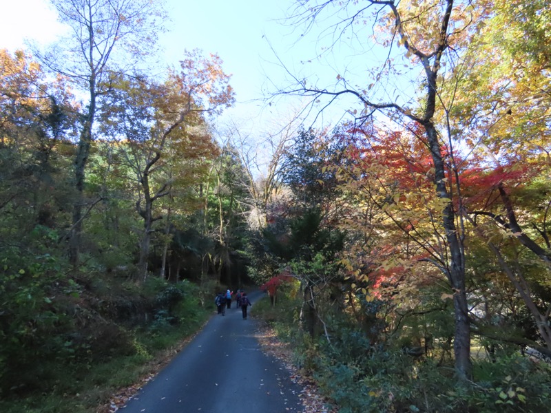 大高取山