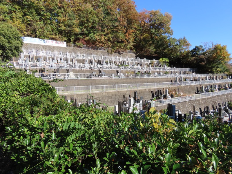 大高取山