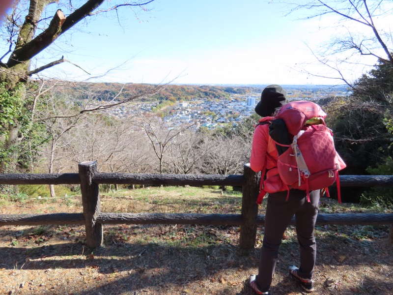 大高取山