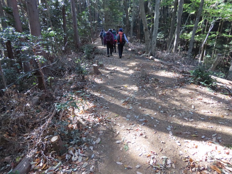 大高取山