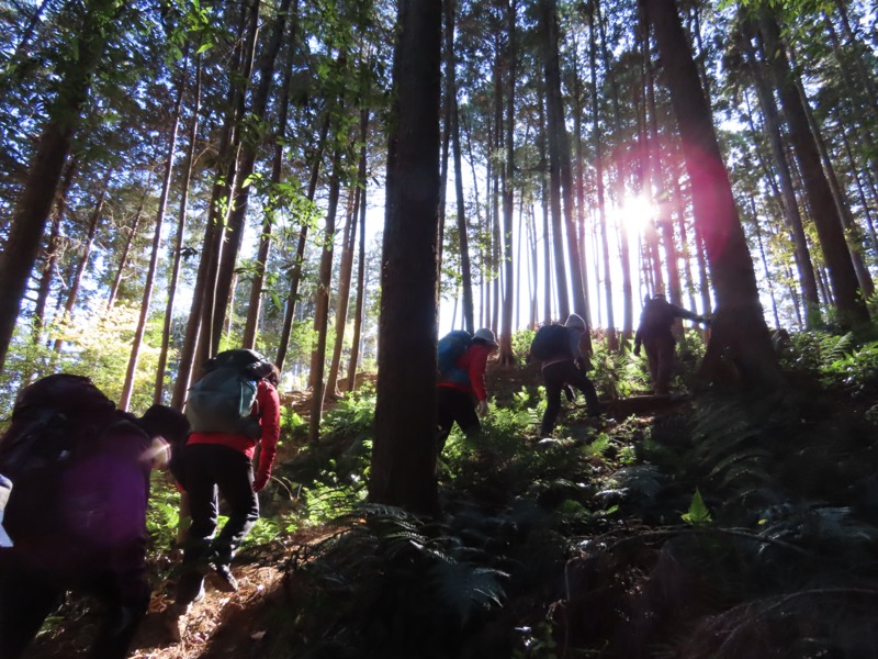 大高取山