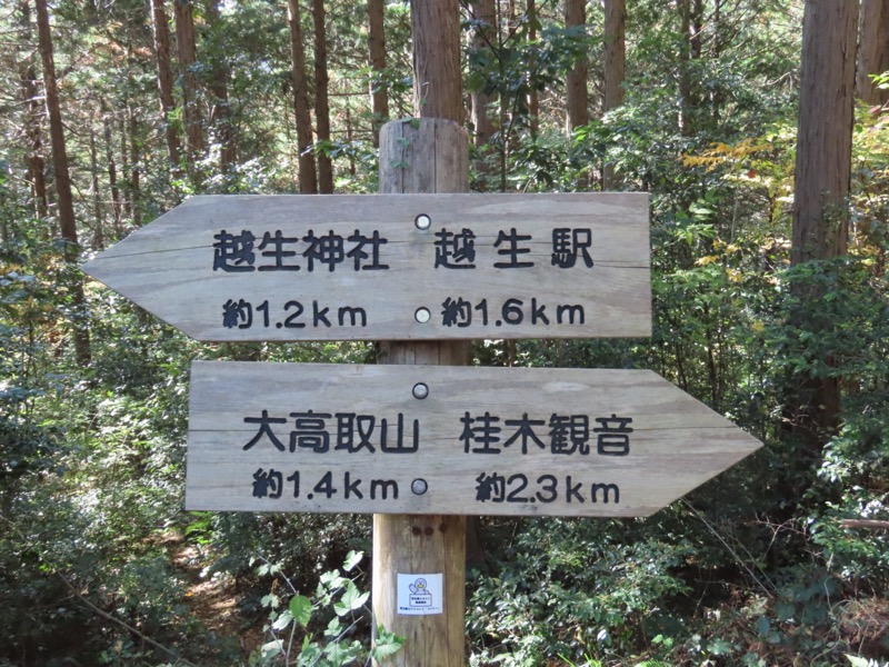 大高取山