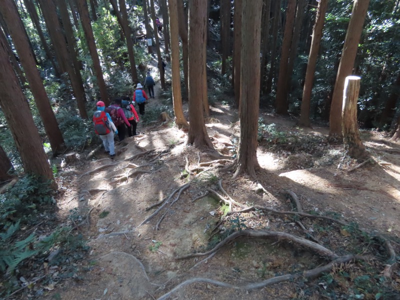 大高取山