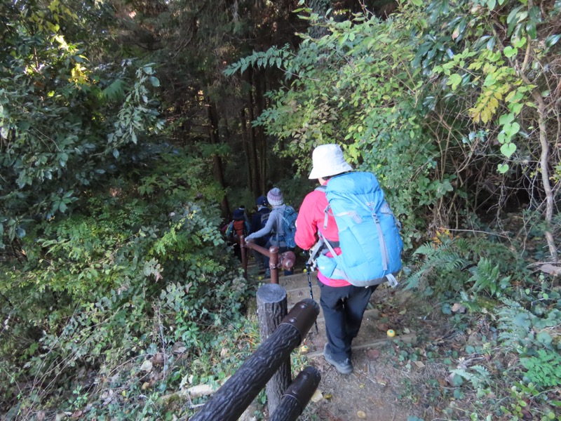 大高取山