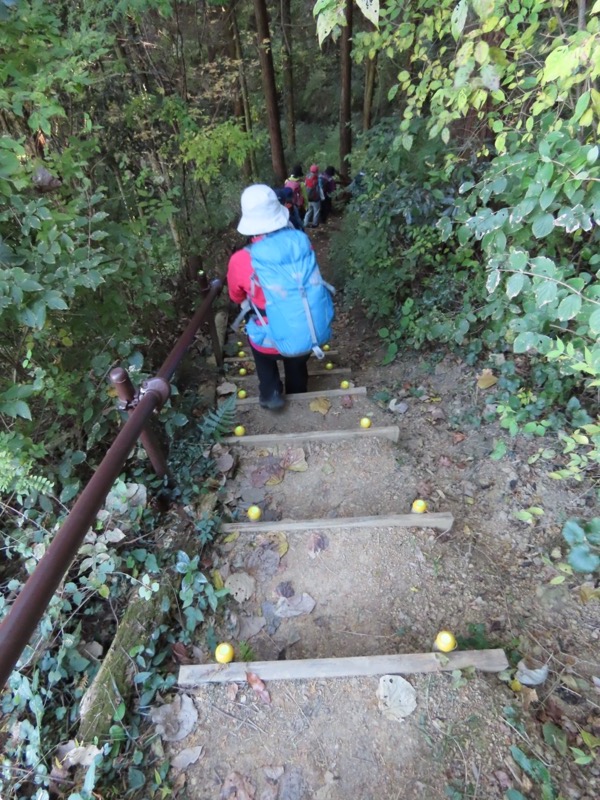 大高取山