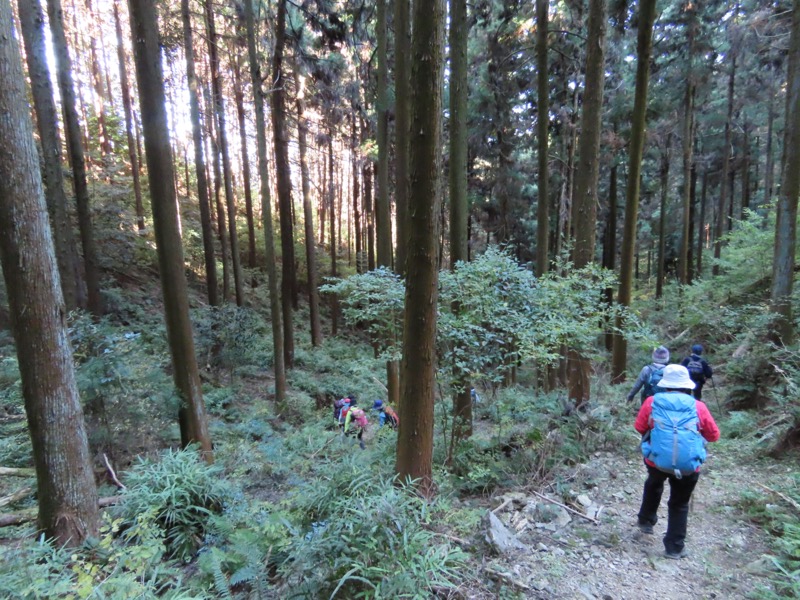 大高取山