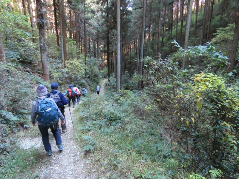 大高取山