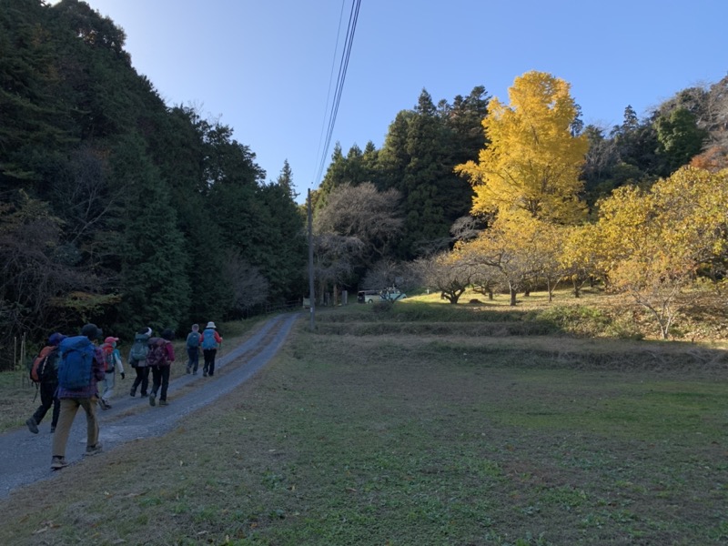 大高取山