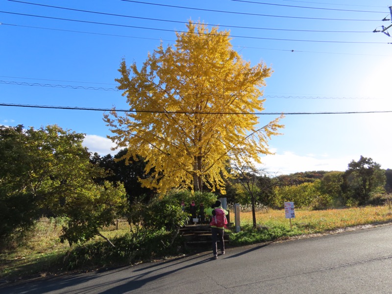 大高取山