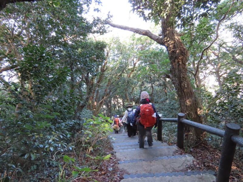 大黒山、鋸山、日本寺