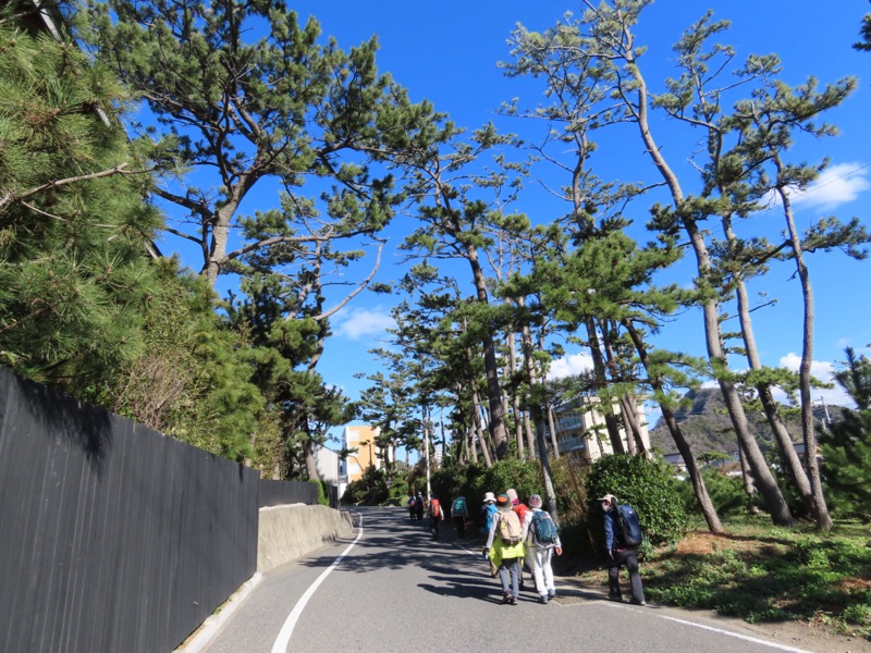 大黒山、鋸山、日本寺