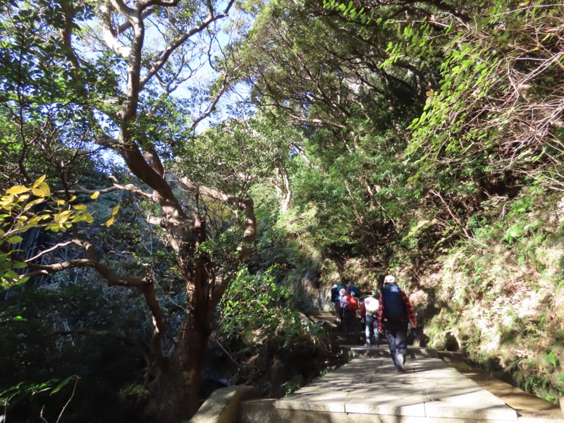 大黒山、鋸山、日本寺