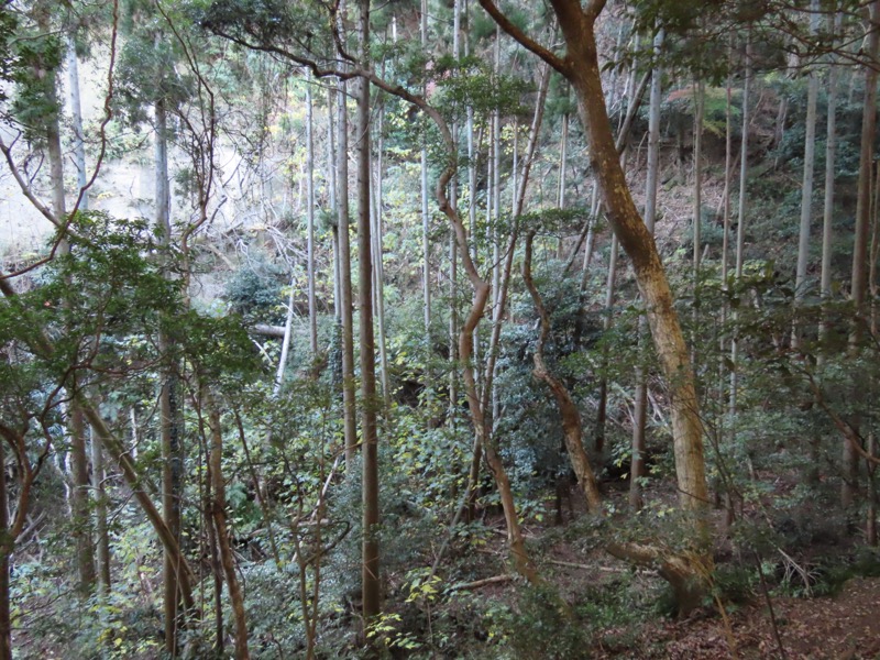 大黒山、鋸山、日本寺