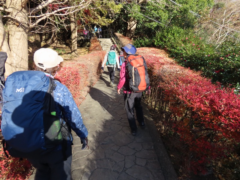 大黒山、鋸山、日本寺
