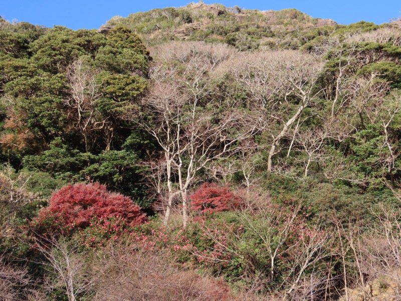 大黒山、鋸山、日本寺