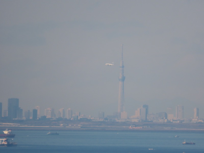 大黒山、鋸山、日本寺