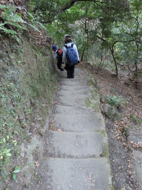 大黒山、鋸山、日本寺