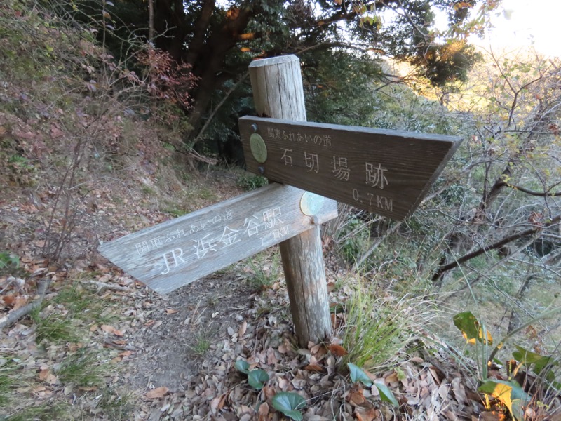 大黒山、鋸山、日本寺
