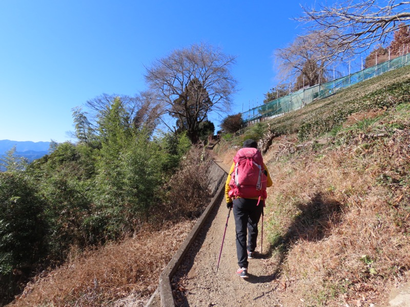 陣馬山