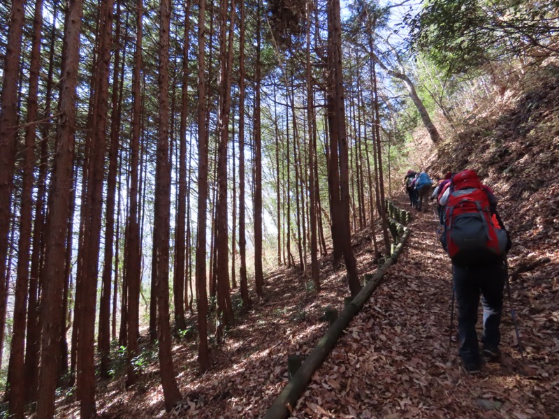 陣馬山