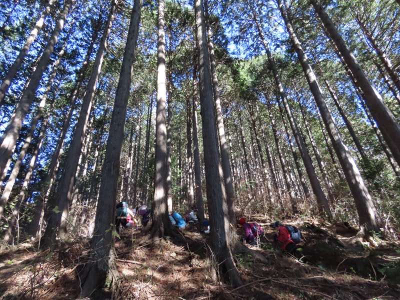 陣馬山