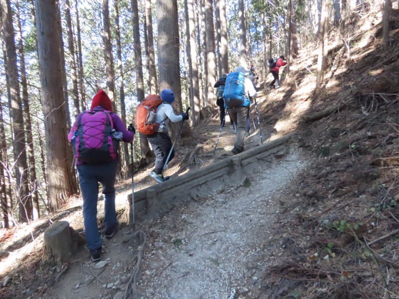 陣馬山