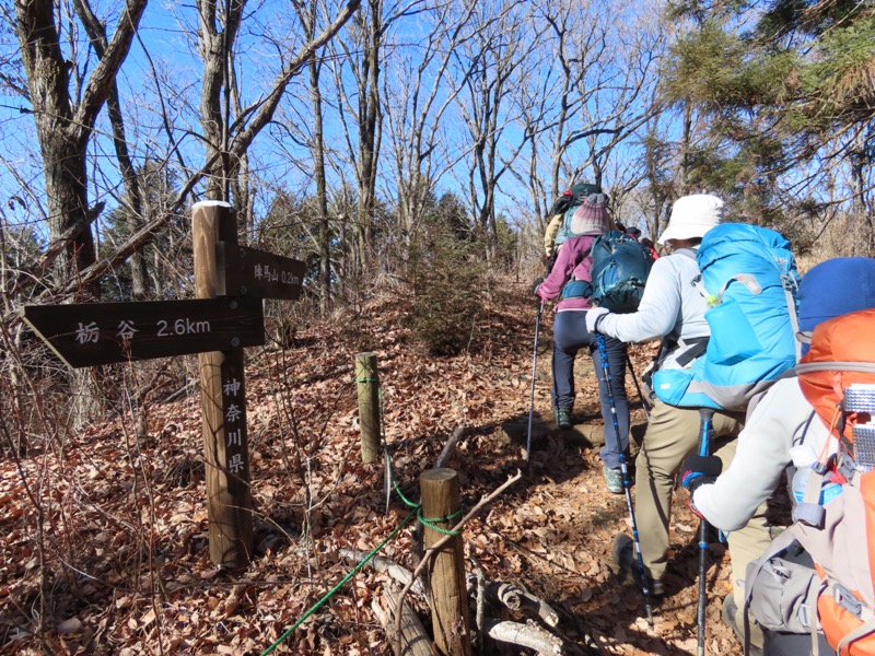 陣馬山