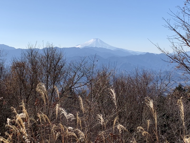 陣馬山